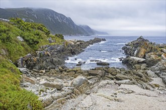 Rocky coastline along the Indian Ocean in the Tsitsikamma Section of the Garden Route National