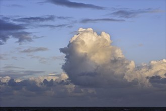 congestus, towering cumulus clouds (Cumulus) over the sea formed by the development of cumulus