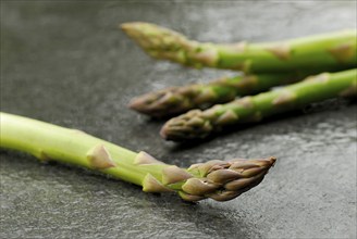 Green Garden asparagus (Asparagus officinalis) Green