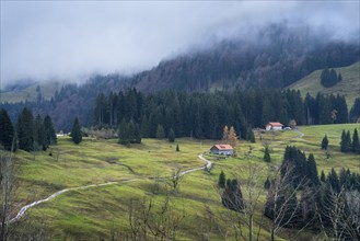 Landscape in the Allgäu, meadows, forests and individual farms. A small road leads to the farms.