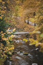 Bridge through the forest in the spa gardens during autumn, Bad Wildbad, Black Forest, Germany,