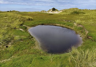 Landscape in the nature reserve at the east end of the island of Norderney, East Frisia, Lower