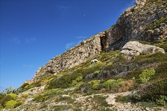 Wild hilly landscape, green slopes, Machia, Levanzo, Egadi Islands, Sicily, Italy, Europe