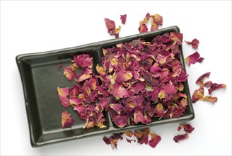 Dried petals of the medicinal plant rose, fragrant rose, Rosa gallica officinalis, The rose is also