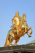 Golden Rider