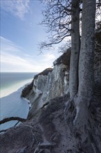 Möns Klint cliff, Baltic Sea island of Mön, Denmark, Europe