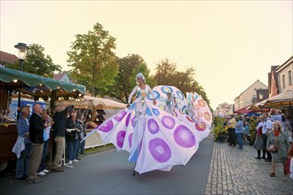 Autumn and wine festival in Altkötzschenbroda