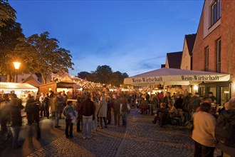 Autumn and wine festival in Altkötzschenbroda