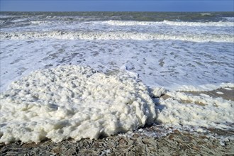 Sea spray, sea foam, ocean foam, beach foam produced in stormy conditions and after an algal bloom