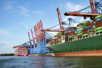 Cranes and container ship in the port of Hamburg, Hamburg, Land Hamburg, Germany, Europe