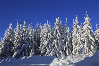 Winter landscape in the Fichtelgebirge, Bayreuth district, Upper Franconia, Bavaria, Germany,