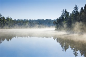 Pines and spruces line the shore of the mirror-smooth Étang de la Gruère moorland lake covered in