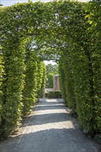 Park with high hedges, Göhren, Rügen Island, Mecklenburg-Western Pomerania, Germany, Europe