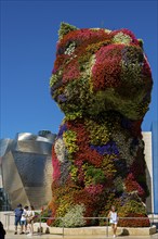 Guggenheim Museum Bilbao, Architect Frank O. Gehry, Sculpture Puppy by Jeff Koons, Bilbao, Basque