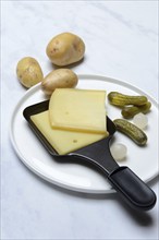 Raclette, cheese slices in raclette pans, Switzerland, Europe