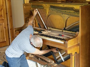 Piano maker repairing piano, piano tuner working on open old piano, Germany, Europe