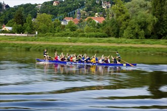 Dragon boat training on the Elbe