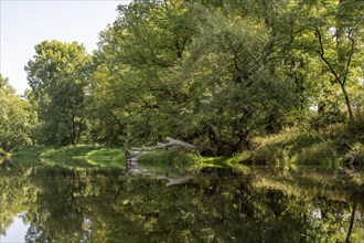 River landscape of the Thaya in late summer, Czech Republic, Europe