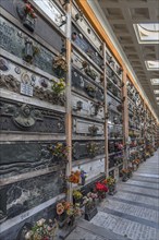 Covered tomb wall with floral decoration, Monumental Cemetery, Cimitero monumentale di Staglieno),