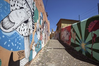 Wall painting, street art, graffiti, Beco do Maldonado, Alfama neighbourhood, Lisbon, Portugal,