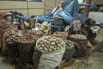 Potato variety, Mercado Mayorista, Huancayo, Peru, South America