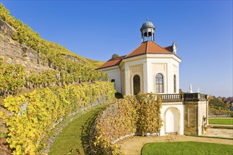 Schloss Wackerbarth or Wackerbarths Ruh' is a baroque castle surrounded by vineyards in the