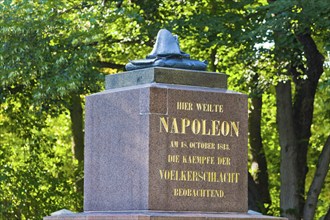 Napoleon stone