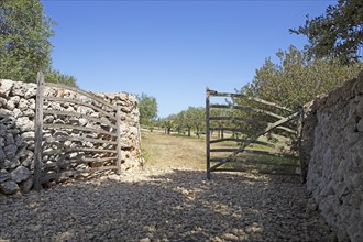 Traditional wooden gate, Torralbenc, Menorca, Balearic Islands, Spain, Europe