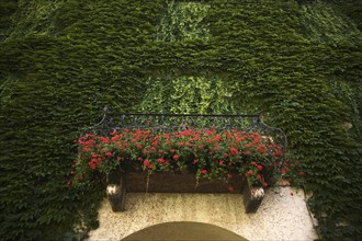 Balcony overgrown with ivy, Abbey courtyard, Augustinian Canons' Monastery, Neustift Monastery,