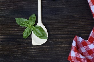 Cooking spoon and basil (Ocimum basilicum)