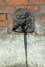 Fountain in the shape of a lion's head. Esteil village. Livradois-Forez Regional Nature Park. Puy