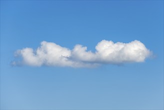 Cloud formation (cumulus), blue sky with low clouds, Baden-Württemberg, Germany, Europe