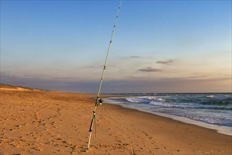 Surf fishing, fishing rod stands on the beach, Soustons Plage, evening light, Silver Coast, Côte