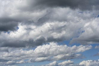 Cloud formation (cumulus), blue sky with low clouds, Baden-Württemberg, Germany, Europe