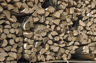 Firewood, split logs, bundled for sale