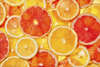 Colorful citrus fruit, lemon, orange, grapefruit, slices background. Backlit