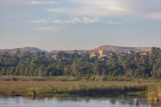 Landscape on the Nile, sunrise, Egypt, Africa