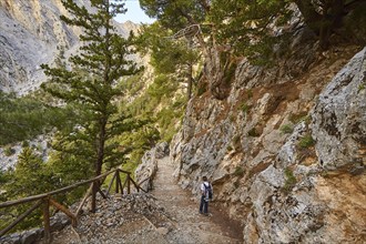 Hikers from behind, Trees, Xyloskalo, Wooden stairs, Upper entrance of the gorge, Samaria Gorge,