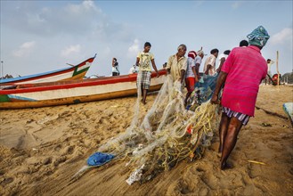 CHENNAI, INDIA, FEBRUARY 10, 2013: Indian fishermen dragging fishing net with their catch from sea