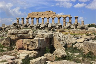 Selinunte, remains of the temples of the acropolis in the archaeological site of Selinunte, Trapani