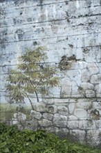 Camouflage painting on rear of gun casemate, artillery bunker of WWII Batterie d'Azeville Battery,