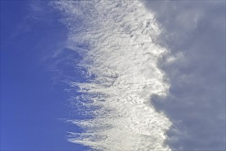 Nimbostratus cloud covering cirrocumulus, altocumulus and blue sky