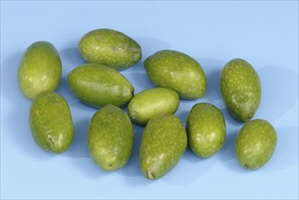 Olives (Olea europea)