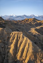 Landscape of eroded hills at sunrise, badlands, white mountain peaks of the Tian Shan Mountains in