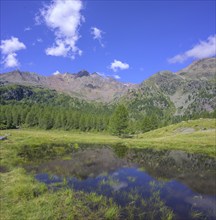 Mountains reflected in a small lake, hike from Weißbrunnsee to Fiechtalm, Ulten, South Tyrol,