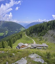 Fiechtalm, Ulten, South Tyrol, Italy, Europe