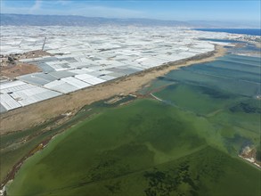 Masses of shimmering plastic greenhouses at the coast of El Ejido, in the foreground the lagoon