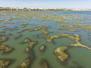 Network of channels and streams at low tide, in the marshland of the Bahía de Cádiz, in the