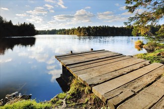 Bathing jetty on the shore of the mire lake Étang de la Gruère in the canton of Jura, Switzerland,