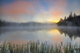 Sunrise with wafts of mist over the mirror-smooth moorland lake Étang de la Gruère in the canton of